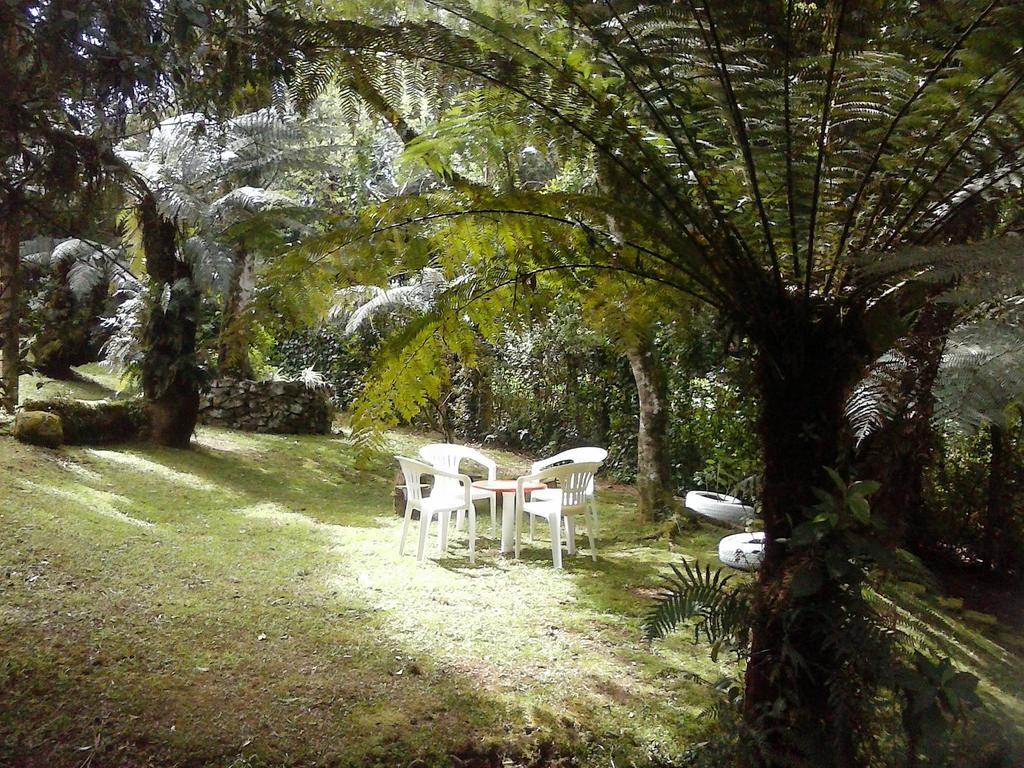 Nanda'S House Pousada Hotel São Francisco de Paula Buitenkant foto